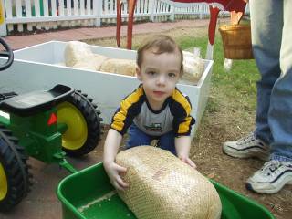 colton at the fair loading a tractor